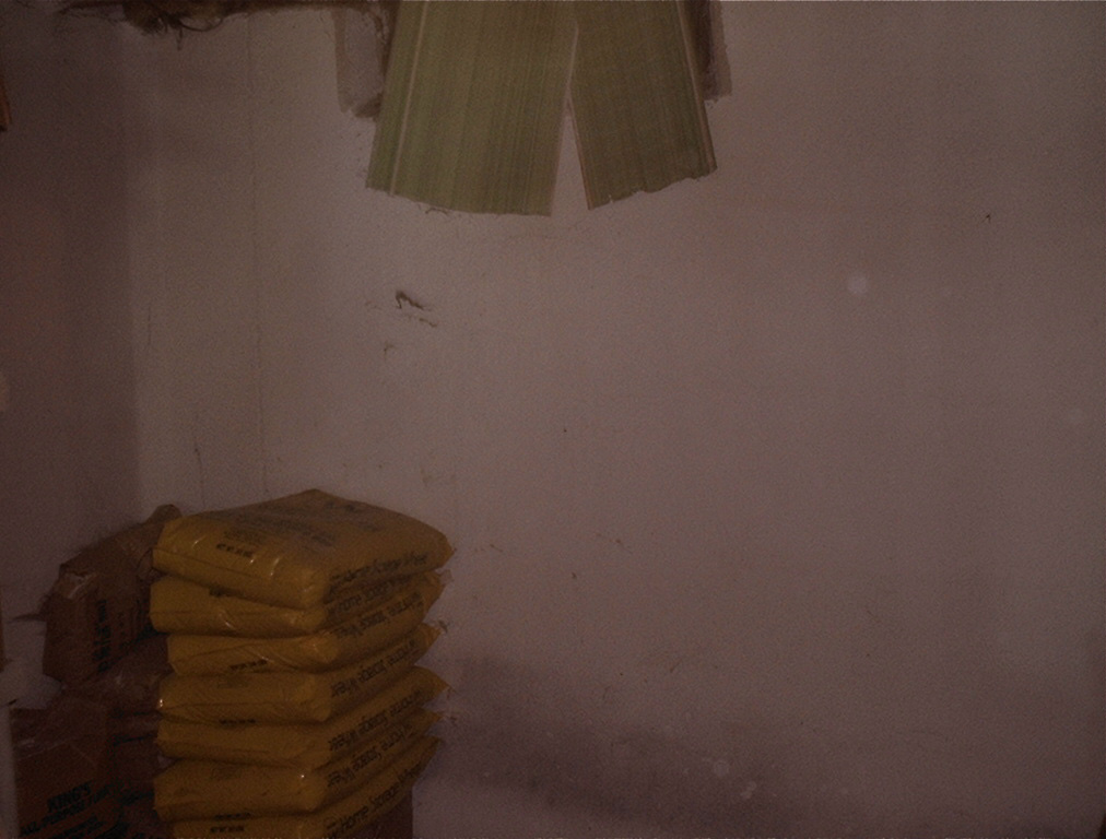shelter1